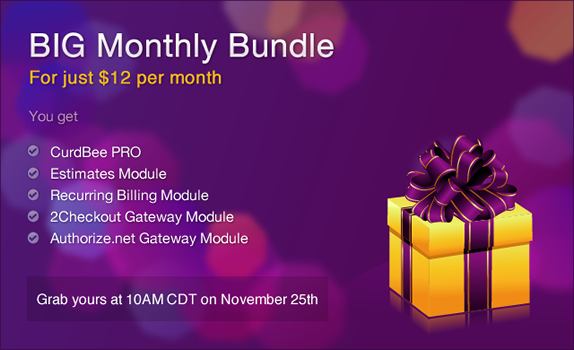 CurdBee BIG Monthly Bundle - For just  per month