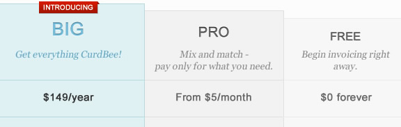 CurdBee's new pricing structure CurdBee's new pricing structure